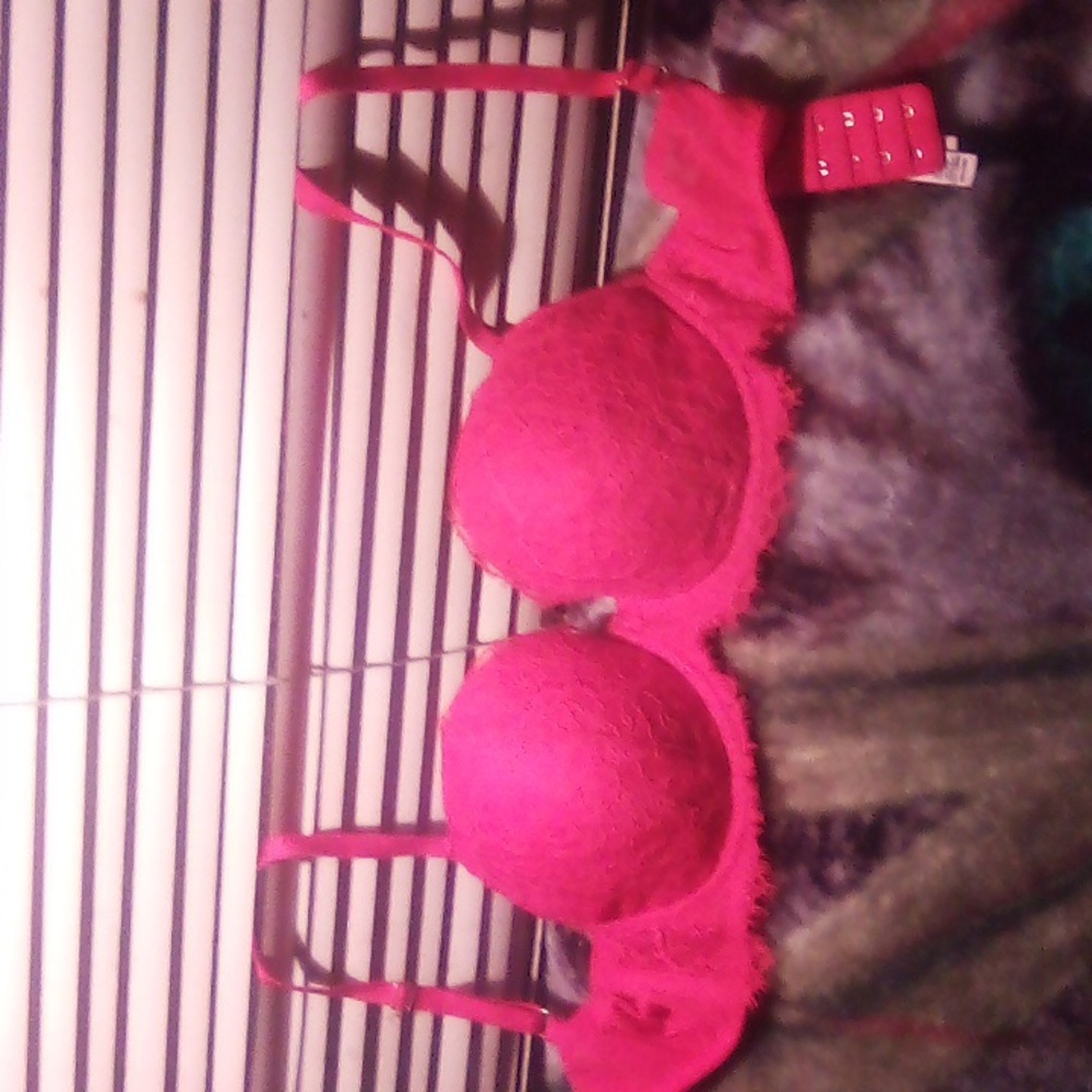 Bra
